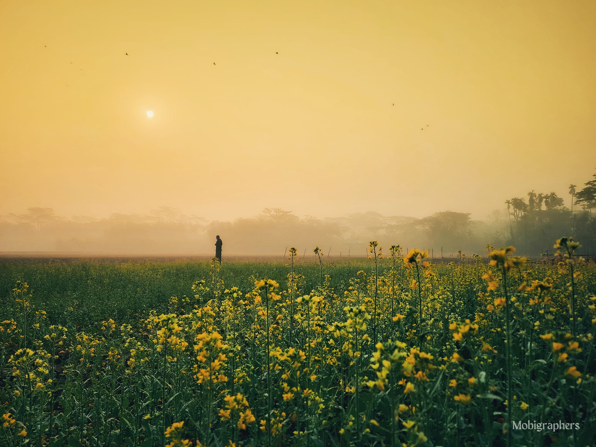 আগামীকালের আবহাওয়া