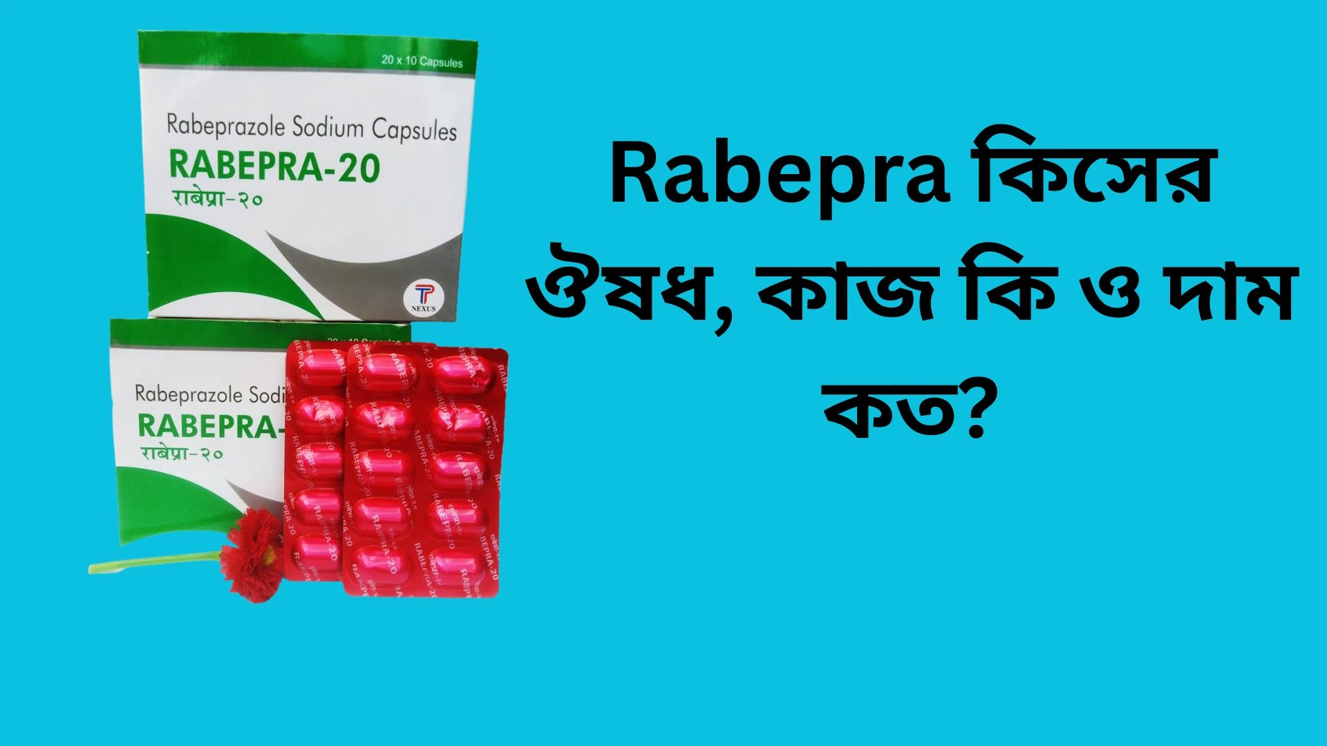 Rabepra fab icon