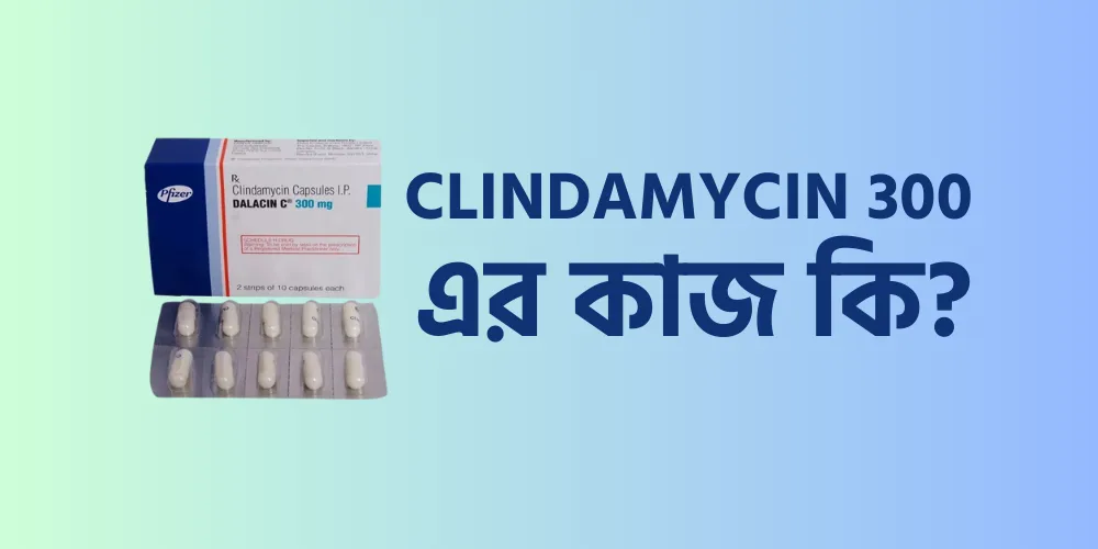 Clindamycin 300 এর কাজ কি?