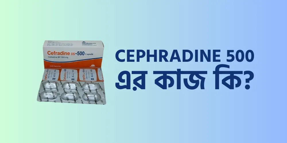 Cephradine 500 এর কাজ কি?